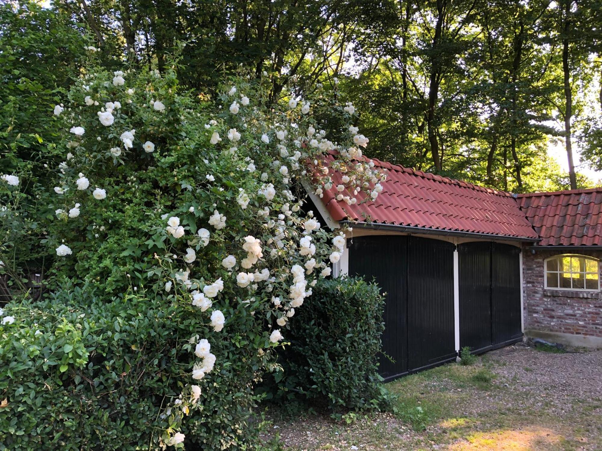 Отель De Zeilende Kraay Katwijk Экстерьер фото